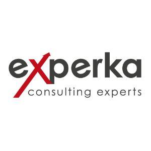 Experka Consulting Experts